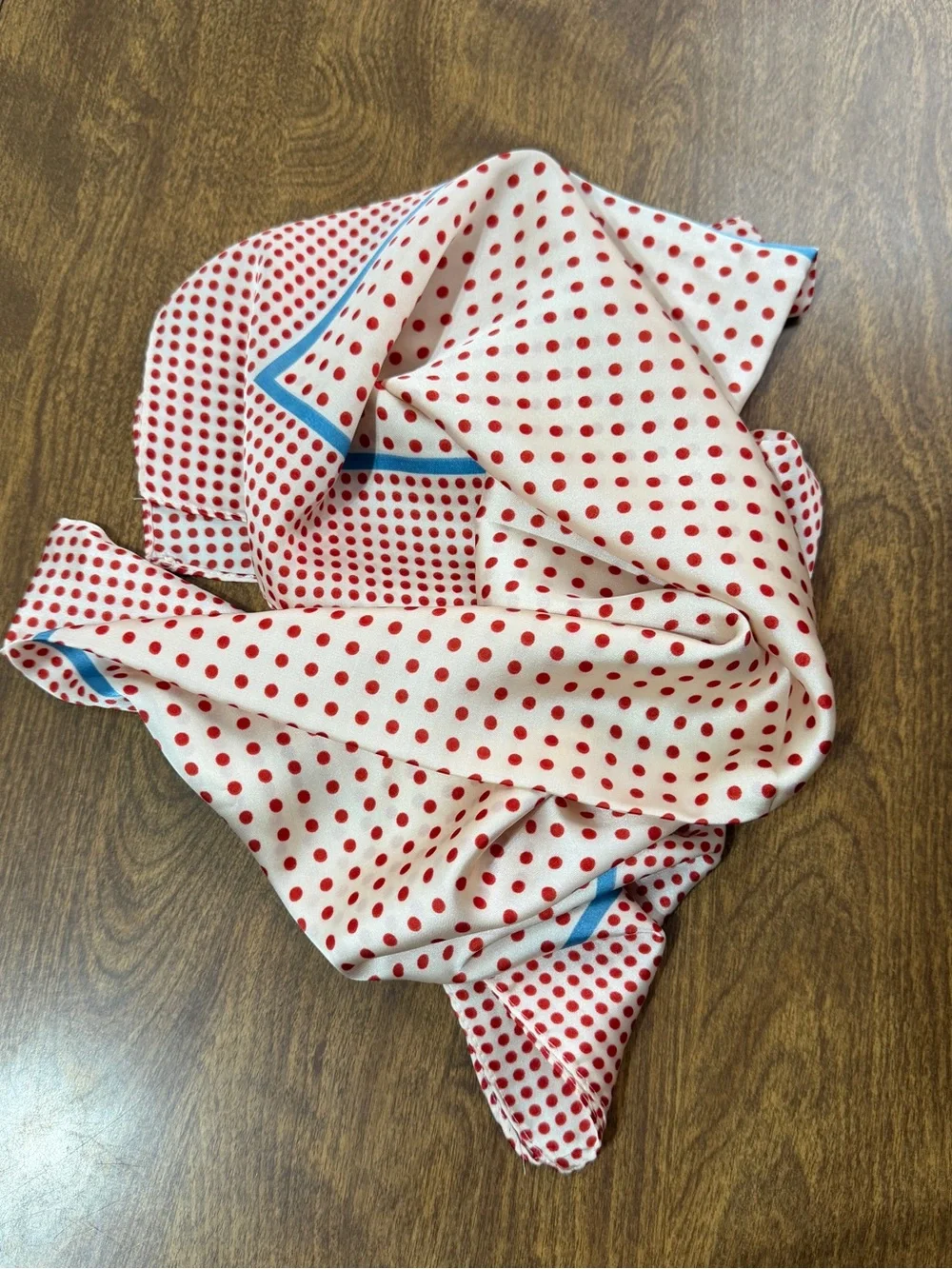 Red Polka Dot Scarf with Blue Trim